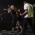 Click to enlarge GutterPunk - Professional Concert Photography